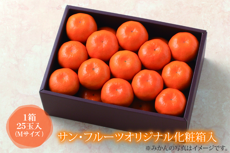 長崎みかんM-25+箱おさえ(800)